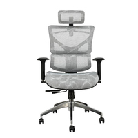 Chaise de bureau ergonomique à dossier haut en maille bleue, chaise de direction pour la santé avec appui-tête