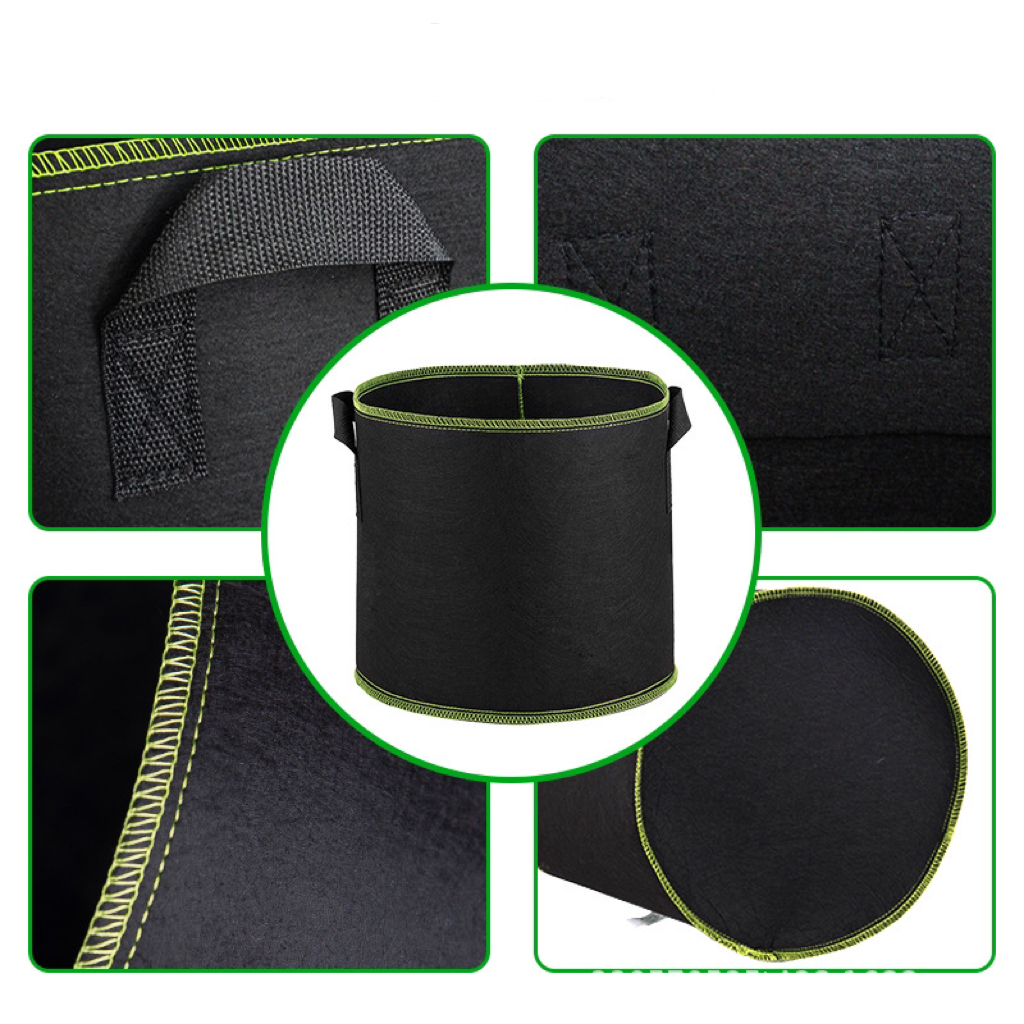 vegetable seeds for planting