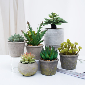 Spéciale incroyable artificielle plantes succulentes cactus herbe bonsaï avec <span class=keywords><strong>pot</strong></span> en béton pour la décoration - Product Image 4