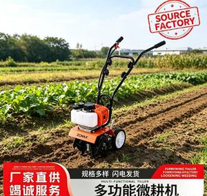 Mini-motoculteur multifonctionnel <span class=keywords><strong>à</strong></span> essence 52CC 2 temps, poussé <span class=keywords><strong>à</strong></span> la main, pour le labourage, le <span class=keywords><strong>d</strong></span>ésherbage et le creusement de fossés, idéal pour les petites exploitations agricoles, vergers et serres - Product Image 1