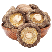 Champignons Shiitake séchés en vrac, Shiitake entiers déshydratés de qualité supérieure, Lentinus edodes séchés naturels pour la cuisine