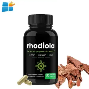 Offre Spéciale prix de gros Rhodiola Rosea extrait Capsule supplément naturel Rhodiola Rosea extrait poudre 3% Rosavin pilule
