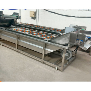 Laveuse de légumes en plastique avec moteur 1100W, fabriquée en Chine - Product Image 6