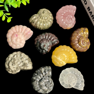 Vente en gros de sculptures en pierres précieuses mélangées, ammonites fossiles en cristal naturel, pour la décoration intérieure - Product Image 4