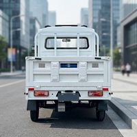 Mini-camion électrique à économie d'énergie avec contrôleur 24 tubes et frein hydraulique pour la livraison de produits de boulangerie et alimentaires