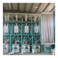 Ligne de production de farine de maïs 20TPD avec une capacité de production petite et moyenne, intégrant le nettoyage, l'épluchage et le broyage