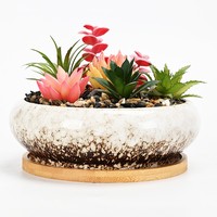 Grandes jardinières en céramique pour plantes succulentes, pot à bonsaï avec plateaux, jardinières réactives peu profondes rondes de 7,3 pouces pour plantes d'intérieur, cactus, fleurs