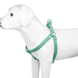 Imbracatura per Cani a Y alla Moda, Comoda e Sicura, in PVC Impermeabile, Design Multi-Fibbia, Facile da Indossare e Togliere Rapidamente - Product Image 5