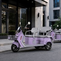 Tricycle Électrique Rétro Direct Usine OEM, Double Siège, Panier Avant, Moteur Arrière 1000W, Éclairage LED, Porte-Bagages, Vente en Gros Personnalisée