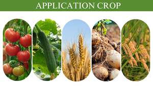 Lufenurón 40% + Emamectina Benzoato 5% WDG <span class=keywords><strong>Insecticida</strong></span> <span class=keywords><strong>Sistémico</strong></span> para Eliminar Orugas - Product Image 4