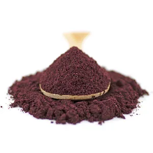 China Suppliers For High Quality Organic Blueberry Fruit Juice Powder