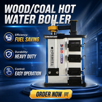 Chaudière à eau chaude à granulés de bois biomasse OEM ODM 23 kW 47 kW, haute efficacité industrielle, contrôle automatique pour le chauffage des serres, CE