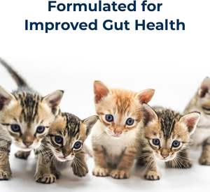 ODM OEM <span class=keywords><strong>Lait</strong></span> en poudre de chèvre riche en protéines pour animaux de compagnie, substitut du <span class=keywords><strong>lait</strong></span> <span class=keywords><strong>maternel</strong></span>, enrichi en vitamines, colostrum pour chiens, chatons et chats - Product Image 4