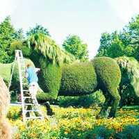 Sculpture d'animaux en topiaire artificielle, en plastique, en forme d'éléphants, en herbe artificielle verte, en buis