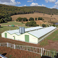 Design moderne, poulailler à structure en acier à bas prix, hangar à poulets préfabriqué, poulailler écologique