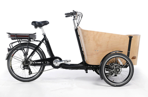 Nouveau tricycle adulte à <span class=keywords><strong>assistance</strong></span> <span class=keywords><strong>électrique</strong></span> confortable <span class=keywords><strong>avec</strong></span> boîte à bagages ouverte 3 roues - Product Image 2