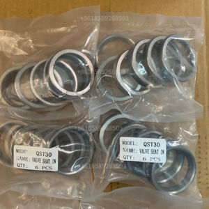 Interrupteur centrifuge à insert de soupape pour moteur à essence QST30 6HH1 3092461 3094159 - Product Image 2