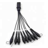 Terminal Akses Splitter Fiber Optik Multiport 1x8 Tahan Air IP68 FTTH FTTA dengan Konektor SC APC yang Diperkeras