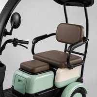 Tricycle électrique 1000W, 3 places, trois sièges réglables, carrosserie ouverte, petit scooter familial