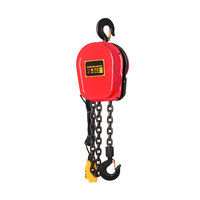 Chaîne de levage de grue électrique modèle 220V Dhs pour le levage