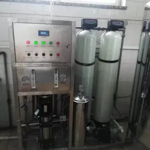 Equipo de tratamiento de agua para Festival de Primavera 500LPH Sistema RO Tratamiento de agua industrial con acero de vidrio de 3 calificaciones