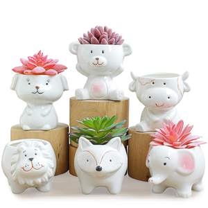 <span class=keywords><strong>Pot</strong></span> à plantes succulentes en céramique pour décoration de jardin bonsaï en forme d'animal - Product Image 1