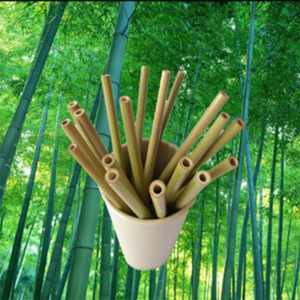 Lujia <b>Bamboo</b> <b>Straws</b> Biodegradable 12pcs Pack For Beverage And Milk Tea Home Catering Use - Product Image 1
