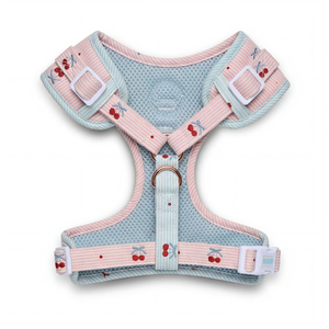 애완용품 <span class=keywords><strong>2026</strong></span> 새로운 디자인 패션 강아지 하네스와 리드 네오프렌 강아지 하네스 맞춤형 강아지 하네스 세트 (배변봉투 홀더 포함) - Product Image 2