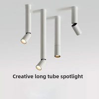 Projecteur LED cylindrique pliable à angle réglable monté au plafond et en surface Barre intelligente Tube long Downlight IP65