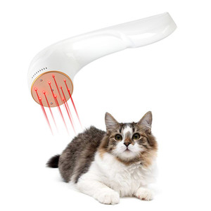 Pet Dor Produto LLLT 810nm 650nm <span class=keywords><strong>Laser</strong></span> Frio para Artrite Do Cão Animal Orelha Infecção Animal Alívio Da Dor - Product Image 2