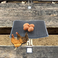Nouveau tapis de nidification en PP facilement lavable pour poulailler, garantie 1 an, pour œufs et litière de poules, en paille plastique