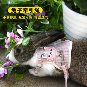 Harnais réglable pour lapin, en nylon, petite taille, motif animal de dessin animé, pour usage extérieur - Product Image 3