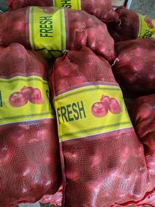 <span class=keywords><strong>Oignons</strong></span> blancs naturels de grande taille, qualité export, en vrac, pour le marché de gros, les services alimentaires et les supermarchés - Product Image 5