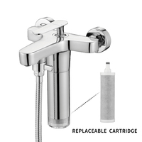 Ensemble de robinetterie de douche murale en laiton poli chromé avec filtre pour eau dure, douchette à main, robinets chaud/froid, style moderne pour hôtel
