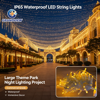 Guirlandes lumineuses LED étanches IP65 de 10 m avec 100 LED pour la décoration de mariages, jardins et pelouses - Vente en gros usine