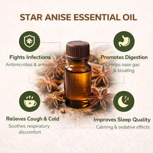 Huile Essentielle d'Anis Étoilé Pure et Naturelle pour l'Aromathérapie, les Soins de la Peau et des Cheveux, et les Massages – Vente en Gros - Product Image 3
