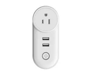 Smart Power Outlet with 2 USB Plugs Remote Control Home Appliances Charging Devices Alexa Google Home ZigBee Outlet