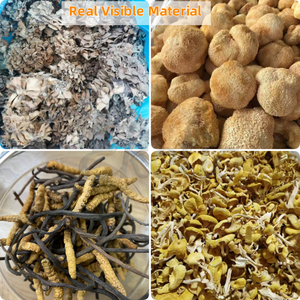 Đỏ Lingzhi <span class=keywords><strong>Ganoderma</strong></span> <span class=keywords><strong>lucidum</strong></span> bào tử bột tự nhiên Reishi Nấm chiết xuất bột - Product Image 3