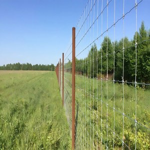 Clôture en grillage galvanisé pour bétail, vente en gros, 1,2 à 1,8 mètres de haut, pour les pâturages, les cerfs et les ranchs bovins - Product Image 4