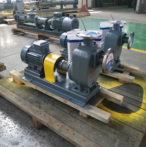Pompe centrifuge horizontale auto-amorçante Zx DN50 pour drainage municipal, eau propre, conversion de fréquence, OEM, fonte/inox - Product Image 2