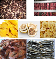 Déshydrateur professionnel à pompe à chaleur pour la production de fruits secs, de collations et de packs mixtes, 140 kg, CE ISO