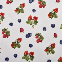 Tissu extensible tricoté écologique à motif fruitier 205 g/m² de poids moyen 91 % modal 9 % élasthanne pour vêtements de garçons 2026