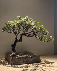 Árbol Artificial de Espino Indio con Flores para Decoración de Interiores en Hoteles, B&B y Salones de Té - Product Image 1