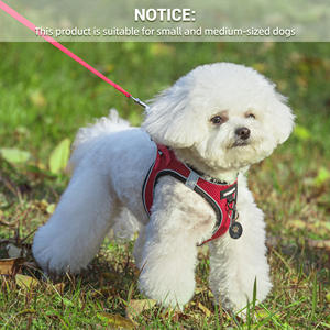 ペット用カラフルな装飾ペット用カスタマイズされたファッショナブルな小型犬用ハーネス通気性メッシュ猫ベスト - Product Image 2