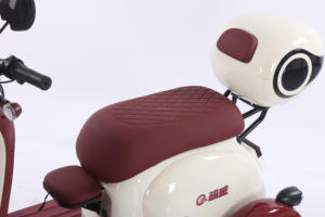 Tricycle électrique à 3 roues à usage familial 600W batterie au plomb pour moto Tricycle électrique pour personnes âgées - Product Image 6