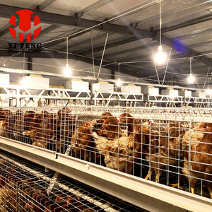 Jaula para Pollos Juveniles <span class=keywords><strong>de</strong></span> Clase A, <span class=keywords><strong>de</strong></span> Diseño Moderno <span class=keywords><strong>y</strong></span> Ecológico, Automática <span class=keywords><strong>y</strong></span> <span class=keywords><strong>de</strong></span> Larga Duración, para la <span class=keywords><strong>Venta</strong></span> en Granjas Avícolas - Product Image 3