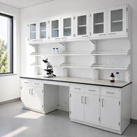 Banc de laboratoire mural tout acier sur mesure avec étagères à réactifs, armoires à portes vitrées et plan de travail résistant aux produits chimiques pour les laboratoires de recherche