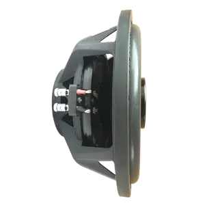 Hoge Efficiëntie Neodymium Magneten 1200W Max NEO Magneet Slim Subwoofer voor Auto Luidspreker Audio