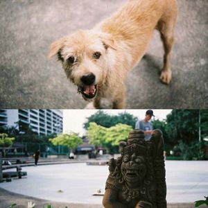 ฟิล์ม Kinetoscope แบบกำหนดเอง ขนาด 35 มม. ISO200 ISO400 36 ภาพ 18 ภาพ ฟิล์ม 120 135 สีขาวดำ สำหรับกล้อง Fuji Fujifilm Kodak - Product Image 5