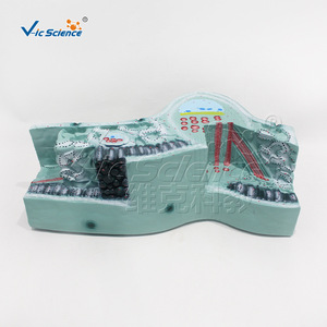 Modèle de structure des feuilles, appareil pour l'étude de la structure des cellules végétales, équipement expérimental de biologie pour les collèges et les lycées. - Product Image 5